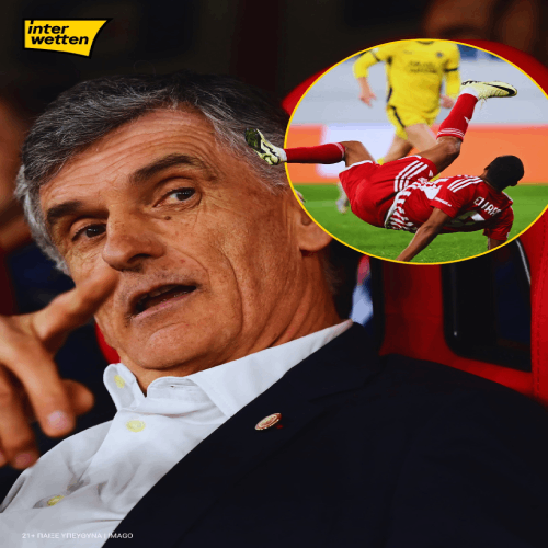 641461787_1435284228608173_4446400606360348340_n (1)